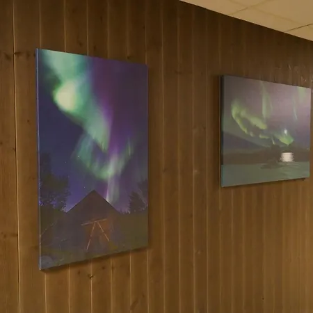 Aurora Adventures